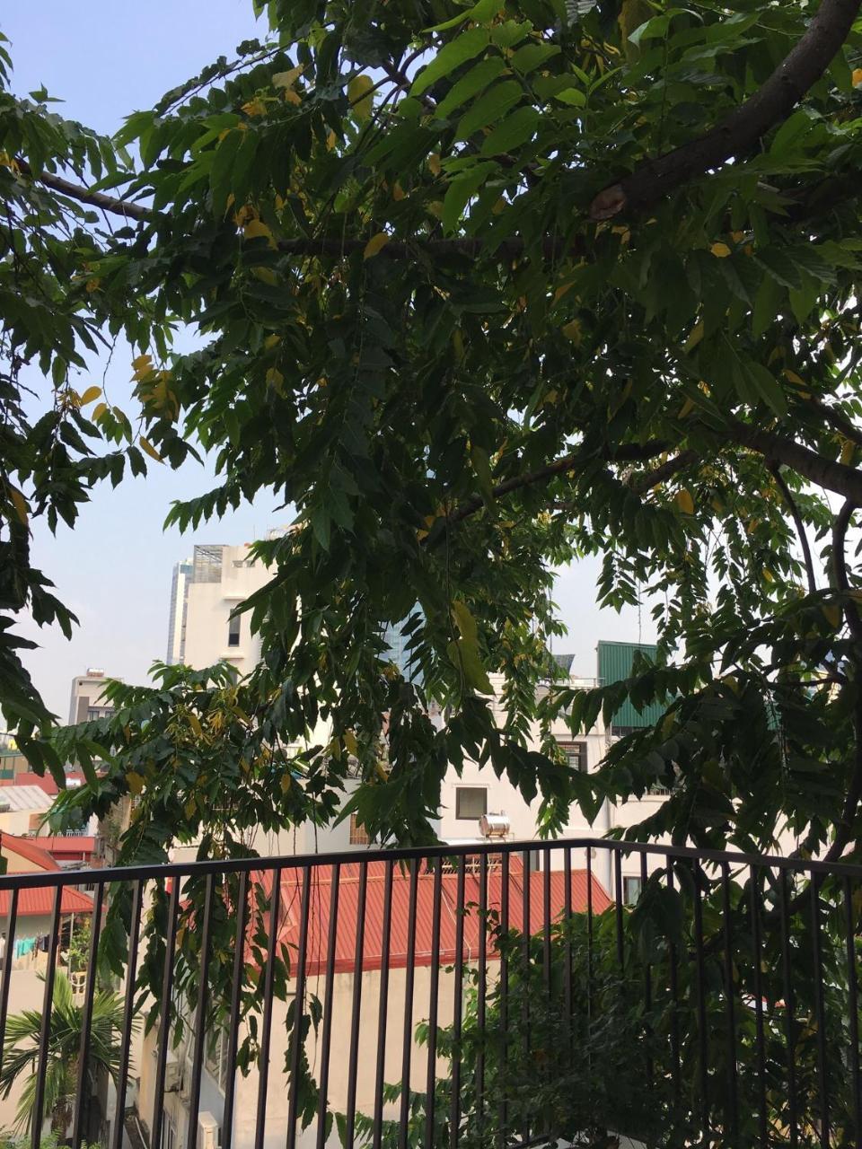 Palmo Hotel & Apartment 2 Hanoi Zewnętrze zdjęcie